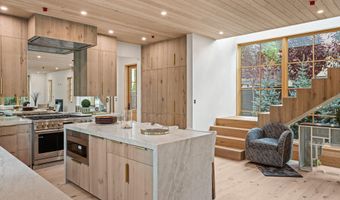 502 N 6th St, Aspen, CO 81611