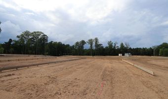 3010 Sandy Sage Way, Apex, NC 27523