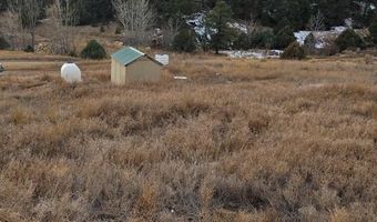 Cottonwood Way, Boncarbo, CO 81024