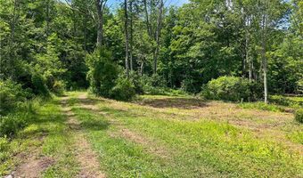 0 Woodland Hills Rd, Andes, NY 13731