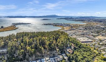 599 Jackson St, Albany, CA 94706