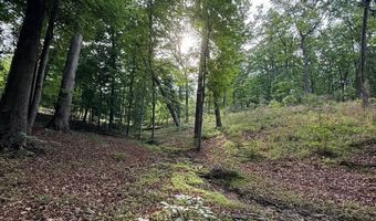 Lot 5 Purvis Road, Baldwin, GA 30511