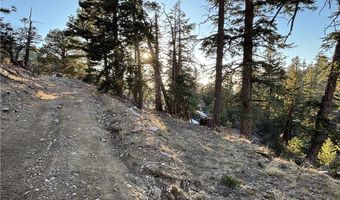 Ironwood, Angelus Oaks, CA 92305