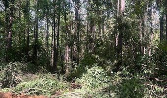 Mallard Point RD, Batesville, MS 38606