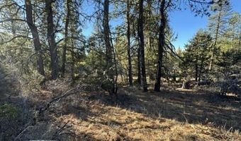 Hummingbird Dr, Bonanza, OR 97623