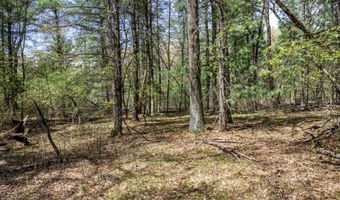 S Badger Lane lot 38, Arkdale, WI 54613