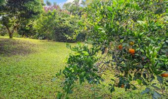 6250 OLOHENA Rd 2, Kapaa, HI 96746