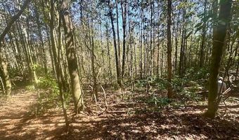 0 Tervin Mill Rd, Andalusia, AL 36421
