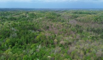 566 A Tunnel Ridge Rd, Argillite, KY 41121