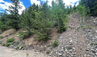 847 County Road 787, Alma, CO 80420