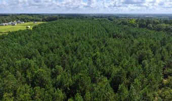 840 County Road 33, Ashford, AL 36312