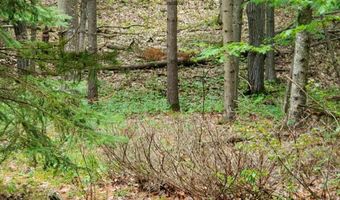 V/L 20AC Monaghan Point Road, Alpena, MI 49707