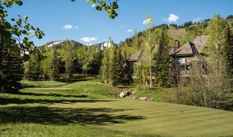 74 Pfister Dr 101, Aspen, CO 81611