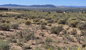 Tract 1 C Mesa Sea Road, Arroyo Hondo, NM 87513