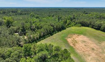 Rooks Road, Atkinson, NC 28421