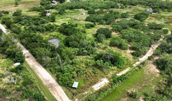 6032 MOUNT OLIVE Rd, Adkins, TX 78101