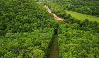 7064 County Road 14-223, Ava, MO 65608