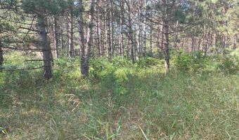 Lot 113 Beaver Lane, Arkdale, WI 54613