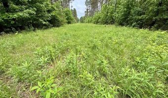 0020 Mount Carmel Rd, Bailey, MS 39320