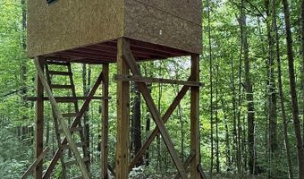 Fritz Run Rd, Ballard, WV 24918