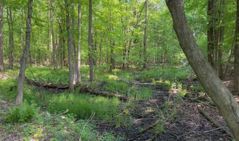 1055 42nd St, Allegan, MI 49010