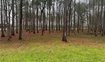 105 Cypress Point Dr, Akron, AL 35441