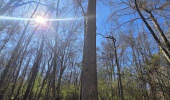 Bogue Chitto Road, Bogue Chitto, MS 39629