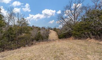 Smithtown Road, Afton, TN 37616