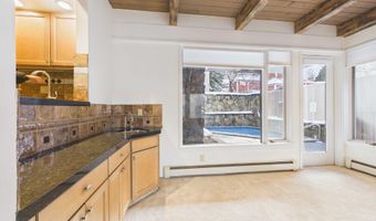 651 S Monarch St 104, Aspen, CO 81611