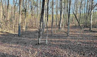 SPRINGHOLLOW ROAD lot 11, Ashville, AL 35953