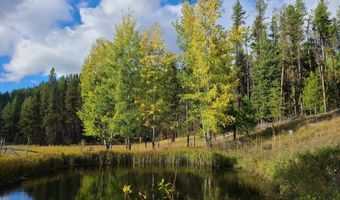 127 Lonely Moose Ln, Alberton, MT 59820