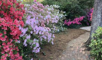 1822 Brevard Pl, Camden, SC 29020