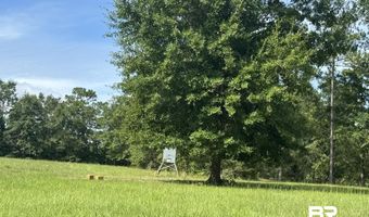 3470 Bell Fork Rd, Atmore, AL 36502