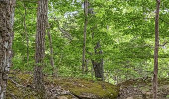 0 Cornerstone Pkwy, Allons, TN 38570