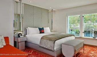 550 S Spring St F3-8, Aspen, CO 81611
