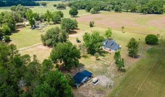 4381 NE 105TH Pl, Anthony, FL 32617