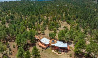211 Mogul Rd, Alto, NM 88312