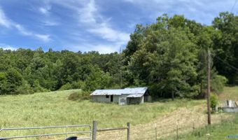 398 Rocky Hollow Cutoff, Attalla, AL 35954