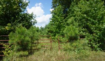 000 Stokes Rd, Bald Knob, AR 72010