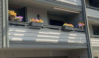 270 Bridge St 2, Bigfork, MT 59911