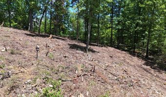 Lot 42 Bayside Boulevard, Bean Station, TN 37708