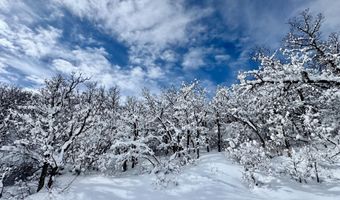 3600 Bear Paw Ln, Glenwood Springs, CO 81601