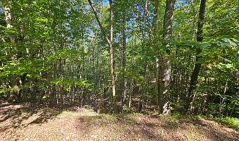 Fox Hollow Dr lot 17, Bastian, VA 24314