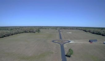 Lot 21 NW 31ST AVENUE, Bell, FL 32619