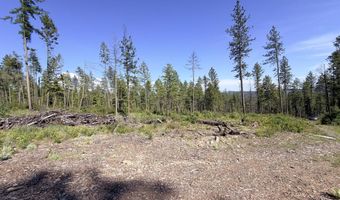 2008 SUMMIT VALLEY Rd Lot F, Addy, WA 99101