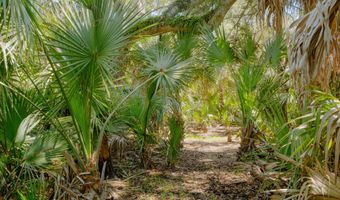 6 Gray Fox Ct Lot 447, Bald Head Island, NC 28461