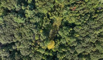 Chamberlain Road 11, Alton, NH 03809