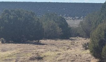 29 B County Road N 8339, Concho, AZ 85924