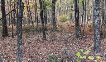 BIG HORN Trail, Augusta, WV 26704