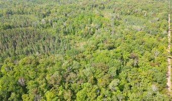 Tbd 359TH LN, Aitkin, MN 56431